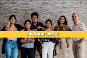 Big or Small Company