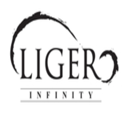Liger Infinity Sdn. Bhd. | Careers & Jobs | Job Majestic