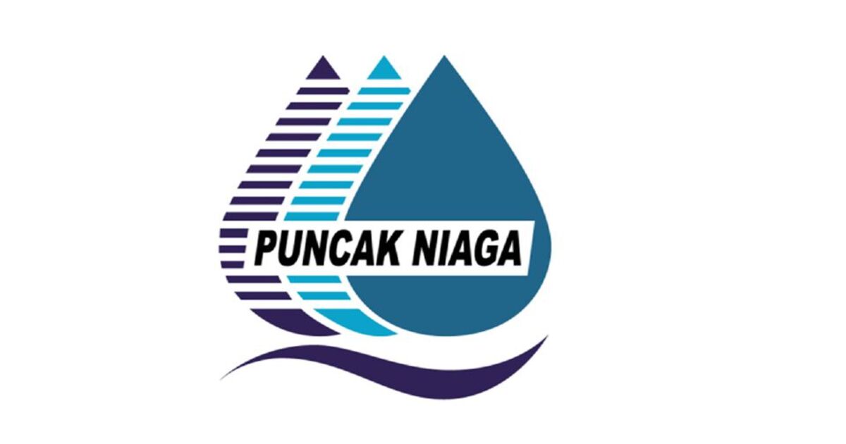 Technician Based In Langkawi Puncak Niaga Holdings Berhad 打工皇帝